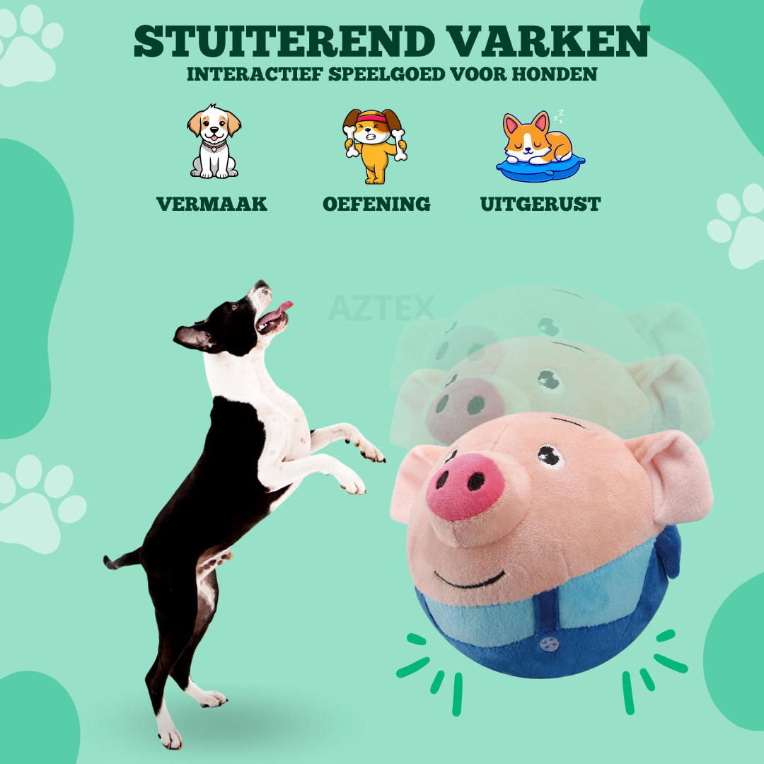 Stuiterend Varken - Interactief Speelgoed voor Honden