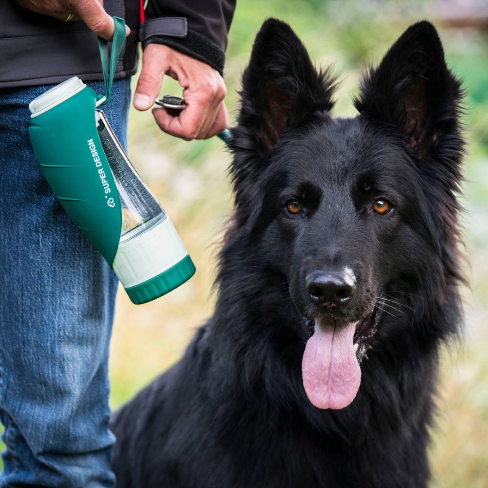 Drinkfles voor Honden